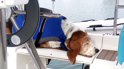 Hazel on boat